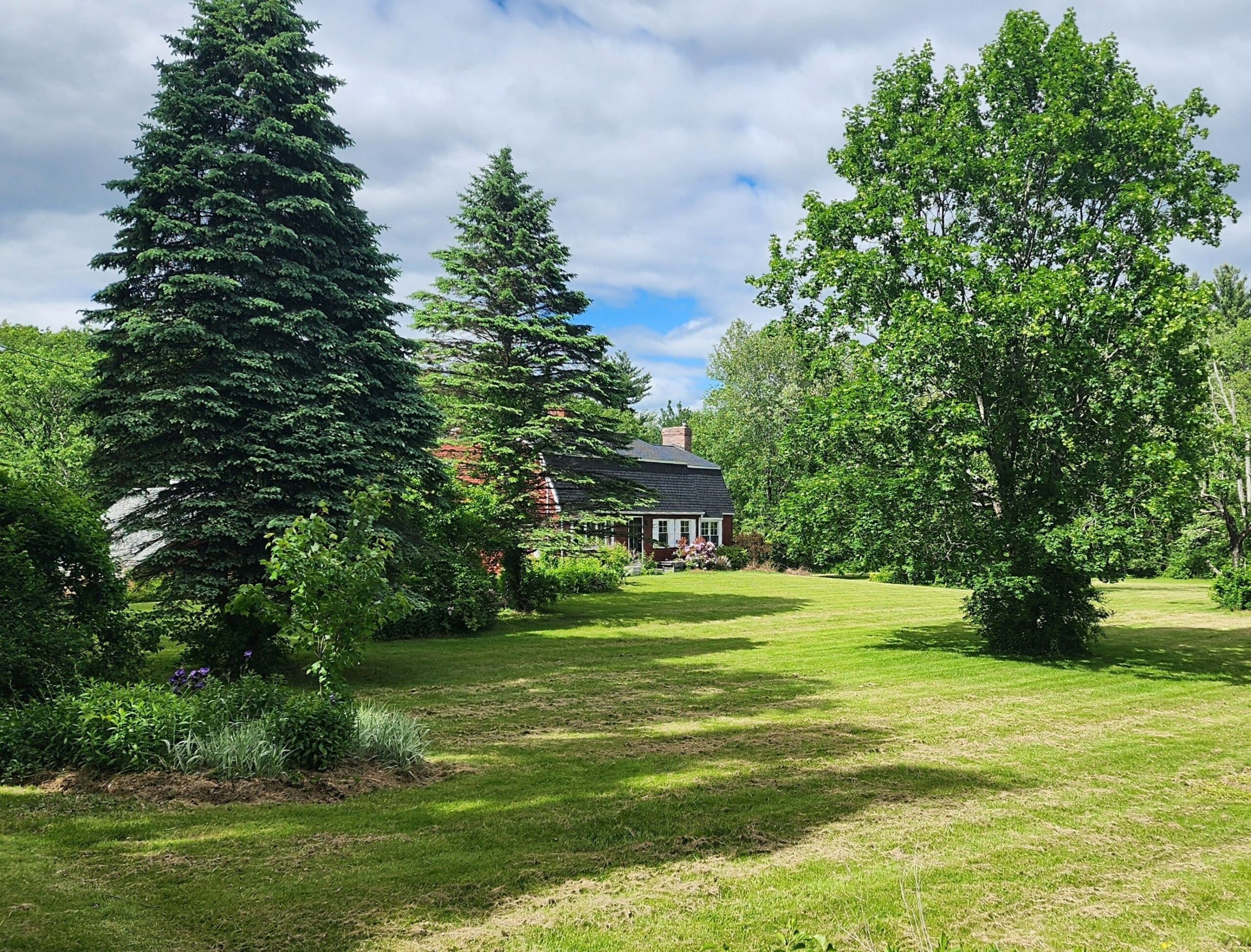 The Murphyville homestead